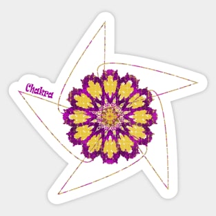 Purple Chakra Meditation Energy Wheel Sticker